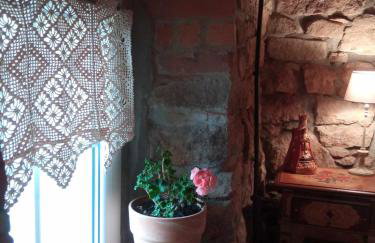 Agroturystyka Jak Makiem Zasiał Dworki 10 - Foto 54