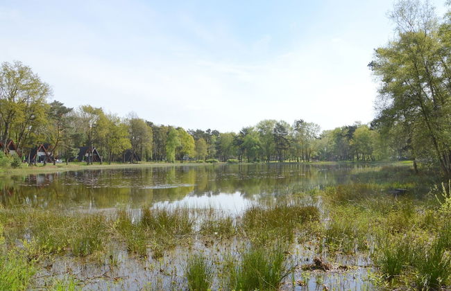 Bungalow in Limburg Near Nature Reserves - Foto 36