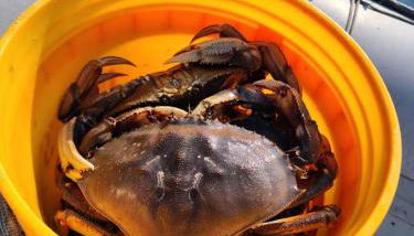 Warm Beach House Stanwood - Foto 3