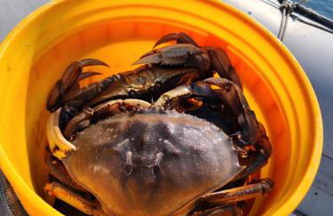 Warm Beach House Stanwood - Foto 3