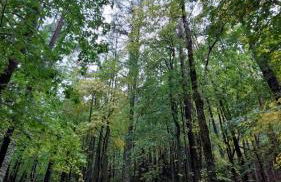 Mira Moleta bienvenidos a Canfranc - Photo 33