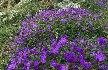 Ferienwohnung Alkapa - Foto 31