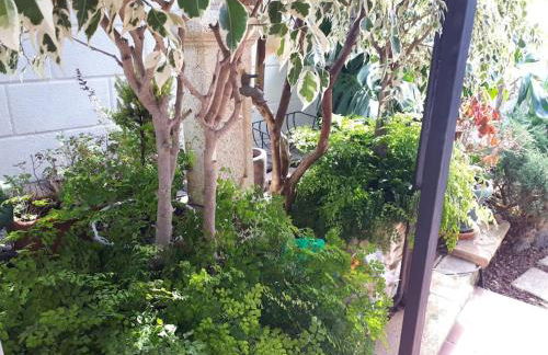 Apartamento tranquilo en una casa con jardín - Foto 15