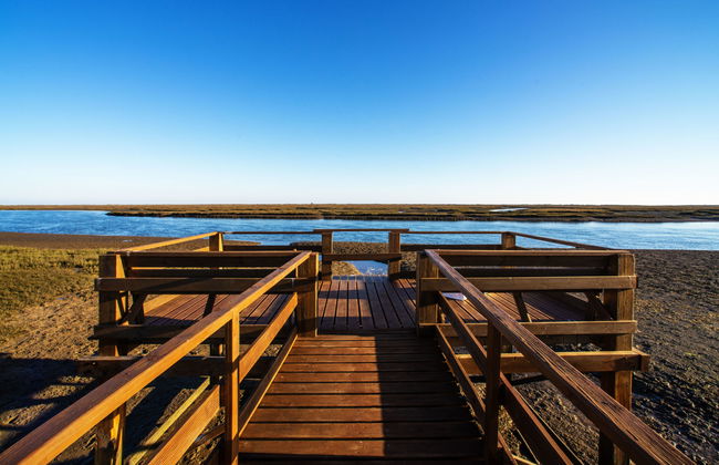 Luz Romana A2 - Foto 31