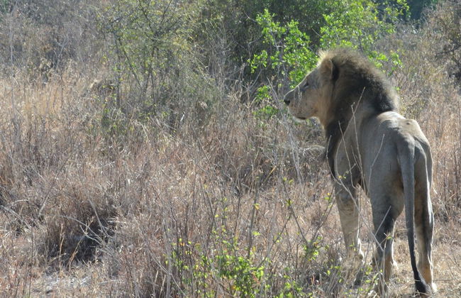 Nyati Hill Cottages - Foto 17