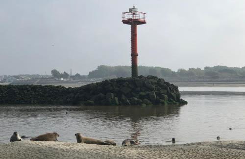 L'Escapade - Hardelot Plage - Parking Privé - Foto 17