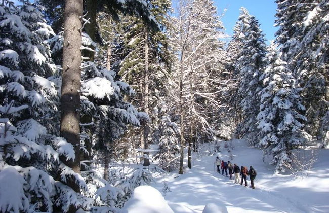 Les Balcons du lac d'Annecy - Neaclub - Photo 18