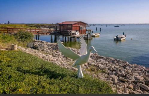 Agriturismo Ca' Pisani - Foto 23