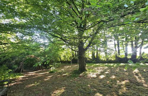 Bluebell Cottage Lurley Manor - Foto 12