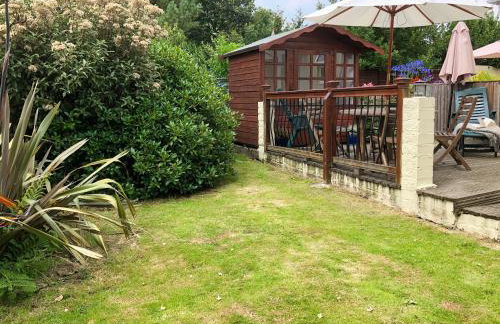 The Swallows - Foto 23