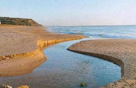 Casa Menezes - Foto 57