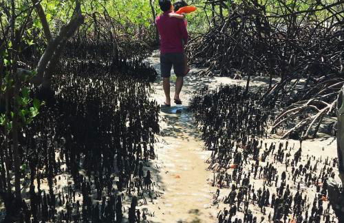 Bella Casa Bougainville - APA Barra de Mamanguape - Photo 40