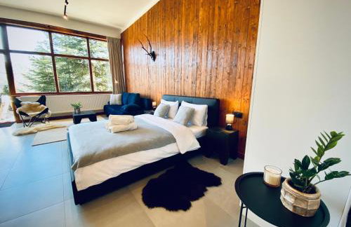 Apartamenty Piwniczna - Foto 62