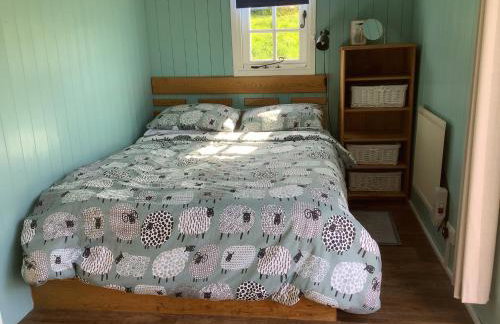 Shepherds Hut (Benny's) - Photo 15