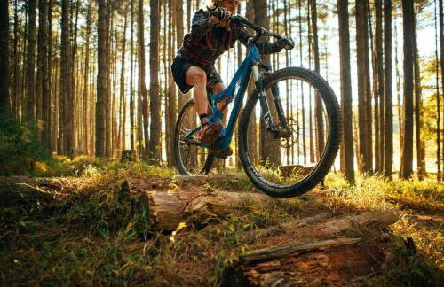 Hot Tub Luxe Retreat • Game Room • Lake • Bryce - Foto 30