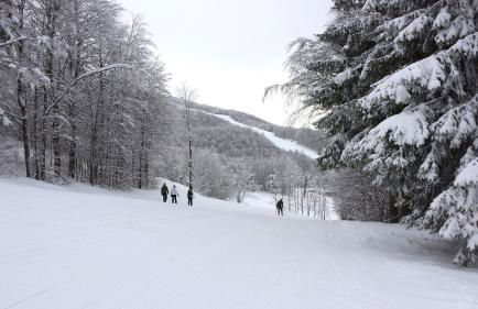 Residence Cimone SuperSci Polle-life - Foto 138