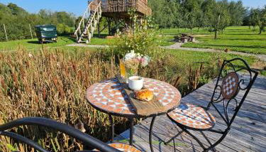 Baumhaus Heuhütte - Foto 1, Garden, Garden view
