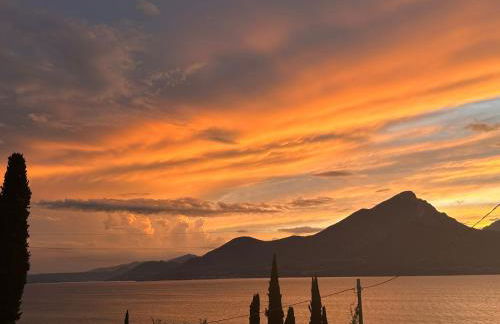 Pai 521 openspace - Foto 10