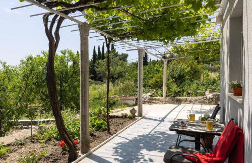 Apartments Roza - Foto 2