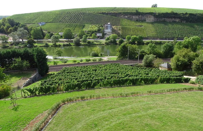 1 bedroom Apartment in Palzem with garden and terrace - Photo 24