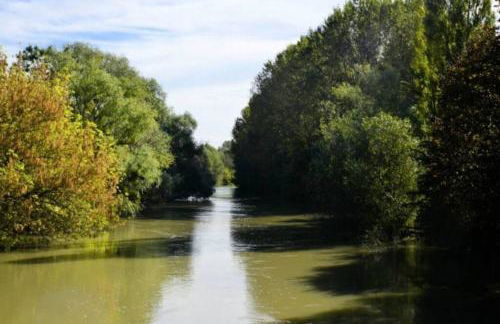 VillaSurSeine - Foto 80