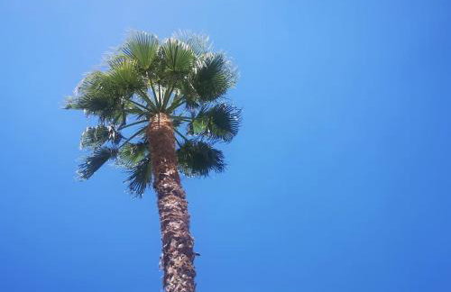 Casa rural con piscina climatizada - Photo 16