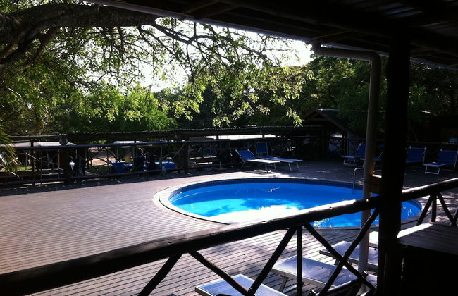 Coral Divers - Foto 11