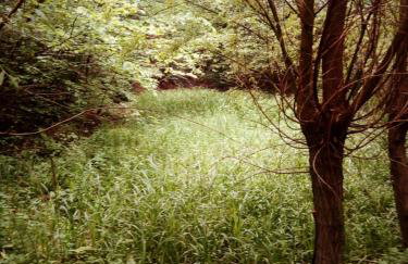 Agroturystyka u Babci - Photo 47