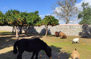 Quinta da Ponte das Hortas 3 - Foto 36