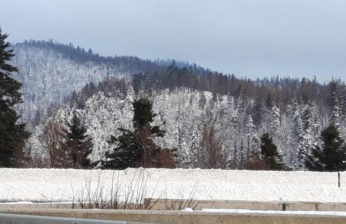 Hacienda Avoxa - Foto 74