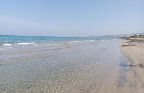 Il ginepro e la lantana - Foto 38