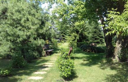 Pensjonat Feliksów - Photo 12