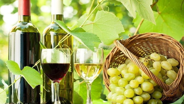 Winery Tour, Tasting & Lunch - Photo 4