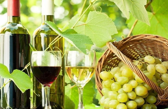 Winery Tour, Tasting & Lunch - Photo 4