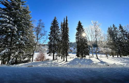 RelaxApartments BLACK FOREST EMOTION mit Sonnenbalkon mit Blick auf den Kurpark, schnelles Internet, Nähe Triberger Wasserfälle, für bis zu 2 Personen - Foto 22