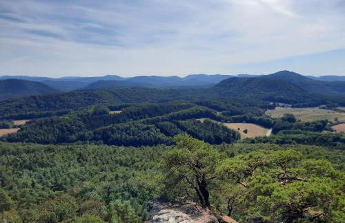 Neugärten - Foto 24