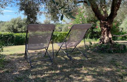 L’Olivier - Foto 40