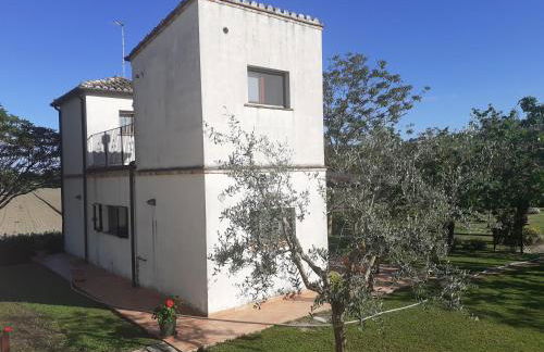 Silos Torrenova - Foto 78