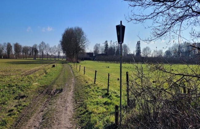 Villa in Sandberghe With Sauna and Comfort - Photo 36