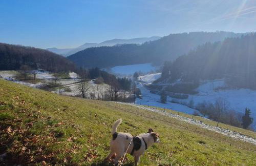 Ferienwohnung am Siegelbächle - Foto 8