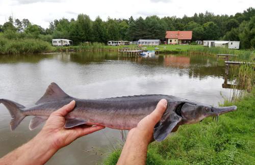 Domki nad stawem w Harszu - Foto 62