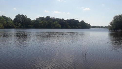 beau t2 tharon - Foto 2