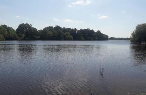 beau t2 tharon - Foto 2