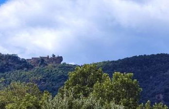 El Racó dels Mussols 2 - Foto 63