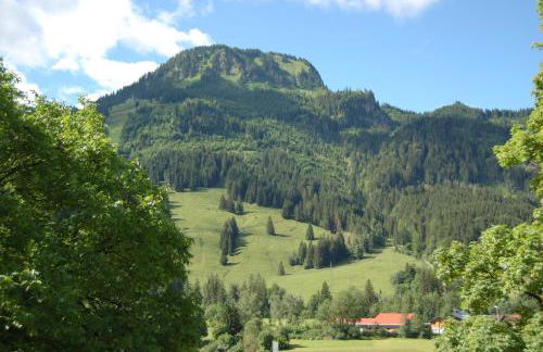 Ferienwohnung mit Balkon I Bergblick I Parkplatz Apartment ONE - Foto 10