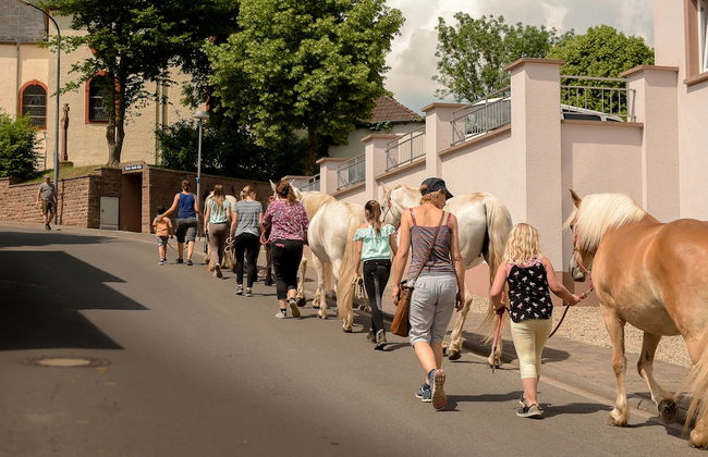 Nengshof - Haus Ehrenpreis - Foto 14