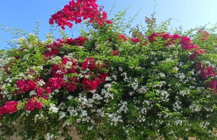 Apartment For 2 - 4 People Just 100m From the Sandy Sea - Foto 43