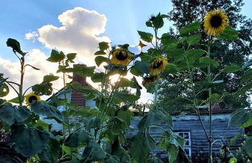 Historic Cabin near Luray Caverns Perfect for a Family Vacation in Virginia - Foto 18