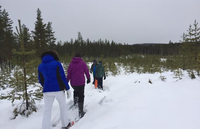 Näsets Marcusgård - Photo 38