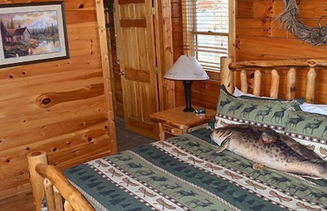 Dollywood Cabins - Foto 4